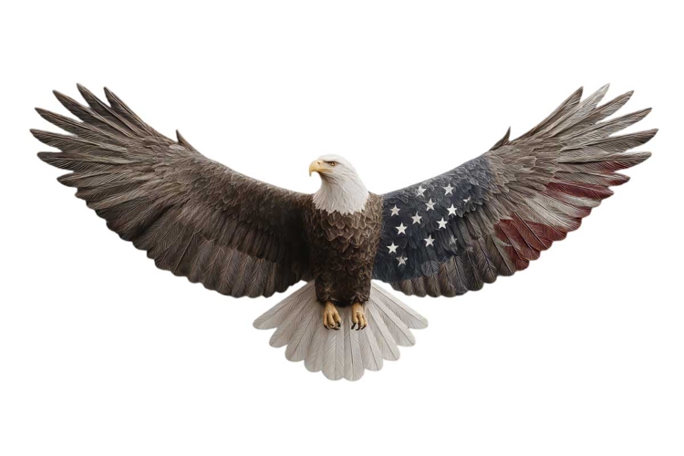 Eagle Clipart Image 15