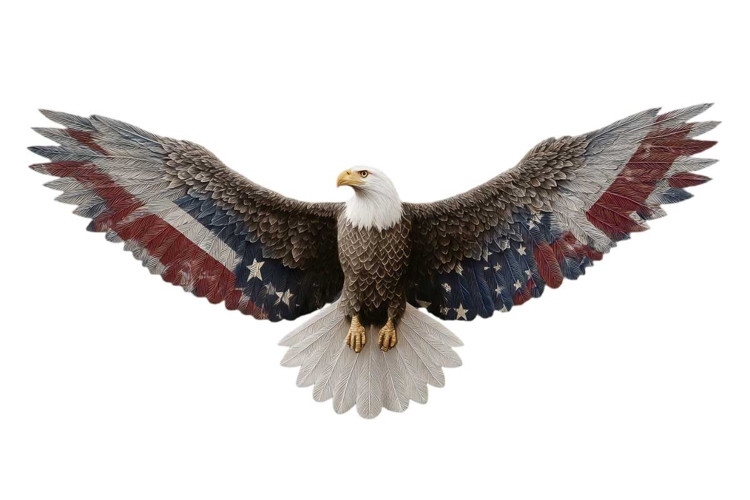 Eagle Clipart Image 5
