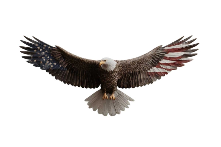 Eagle Clipart Image 11
