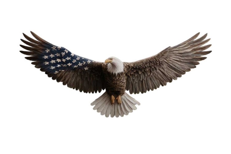 Eagle Clipart Image 24