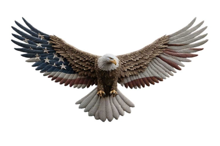 Eagle Clipart 4th of July PNG