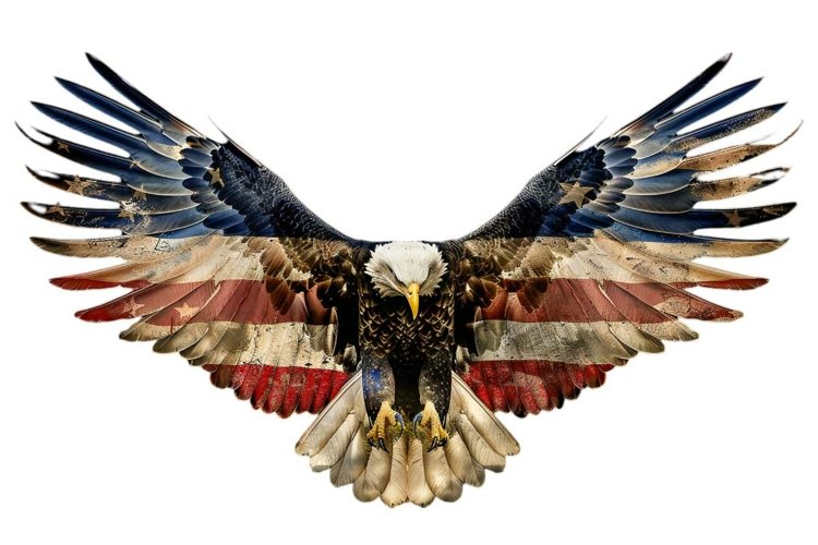 Eagle Clipart Image 17
