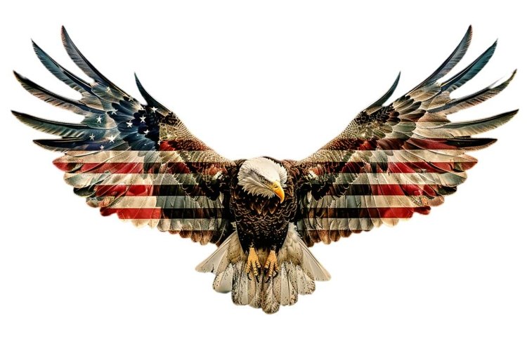 Eagle Clipart Image 19