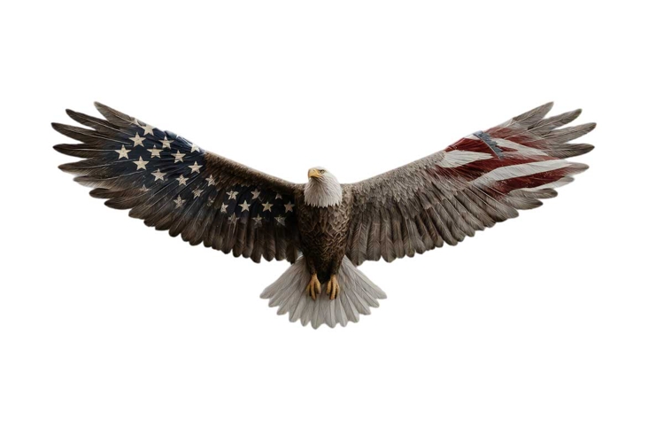 Patriotic Clipart Image 21