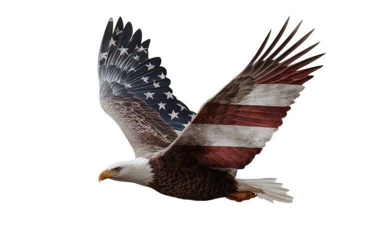 Patriotic Clipart Image 9