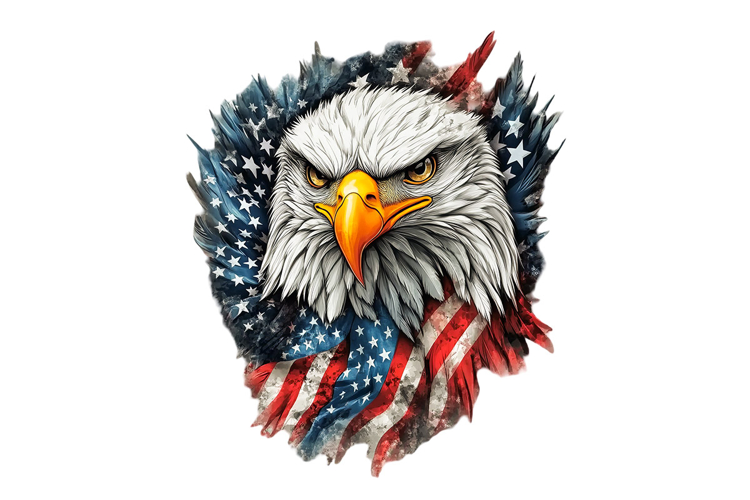 Patriotic Clipart Image 13