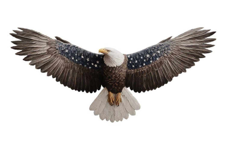 Patriotic Clipart Image 7