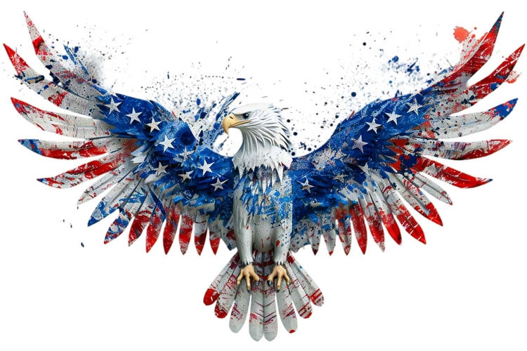 Eagle Clipart 4th of July PNG