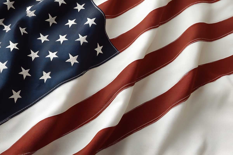 Flag Clipart Image 6