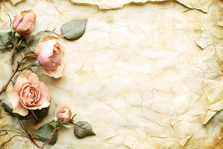 Vintage Paper Card with Flowers Rose