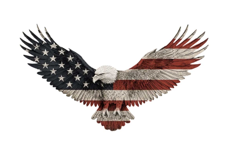 American Eagle Clipart Image 23