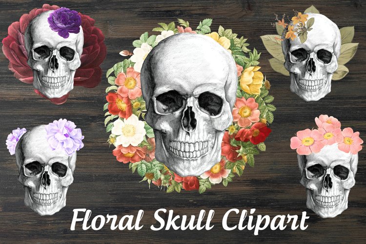 Human Skull Png Image 7