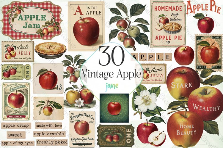 Apple Clipart Image 8