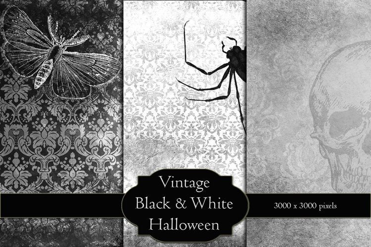 Vintage Black & White Halloween Backgrounds example image 1