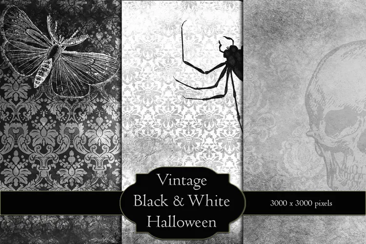 Vintage Black & White Halloween Backgrounds