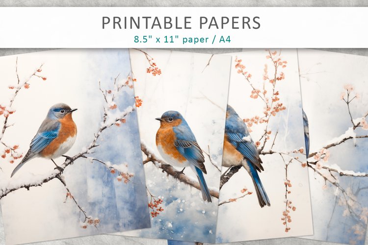 Bluebird Clipart Image 24