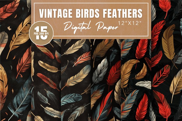 Feather Texture Image 6