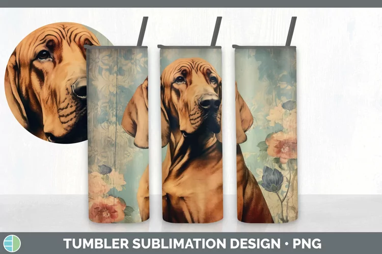 Vintage Bloodhound Dog Tumbler | Sublimation 20 oz Skinny Tu