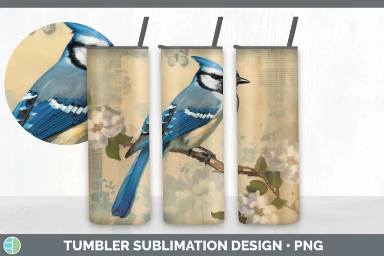 Vintage Blue Jay Bird Tumbler | Sublimation 20 oz Skinny Tum