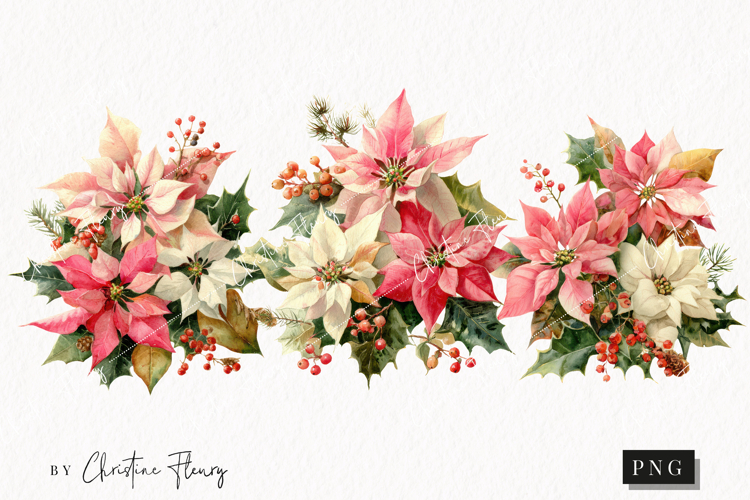 Watercolor Pink Poinsettia Clipart | Christmas PNG