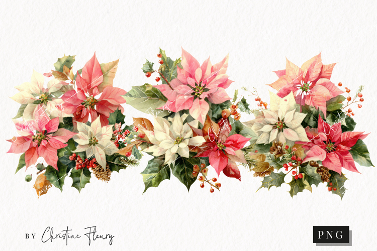 Watercolor Pink Poinsettia Clipart | Christmas PNG