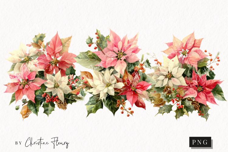 Watercolor Pink Poinsettia Clipart | Christmas PNG