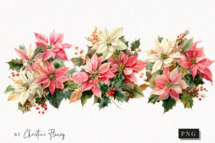 Watercolor Pink Poinsettia Clipart | Christmas PNG