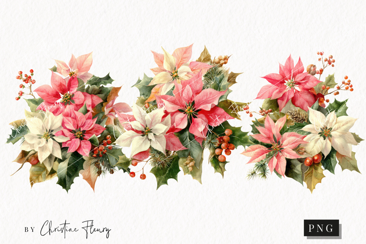 Watercolor Pink Poinsettia Clipart | Christmas PNG