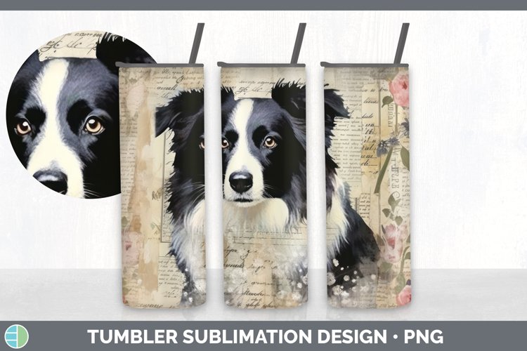 Border Collie Clipart Image 12