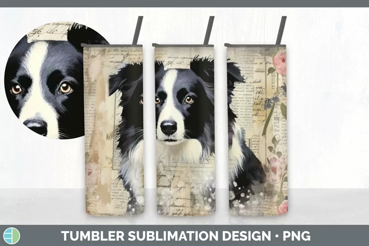 Vintage Border Collie Dog Tumbler | Sublimation 20 oz Skinny