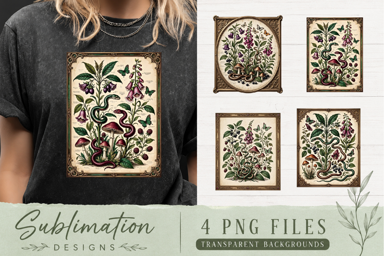 Vintage Botanical Mushroom PNG | Dark Academia Sublimation
