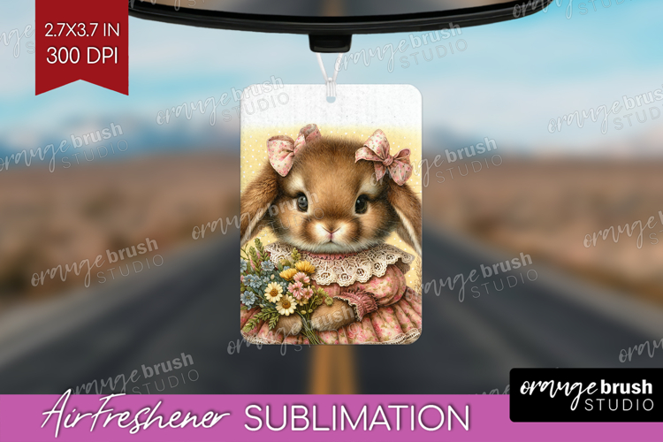 Rabbit Png Image 24