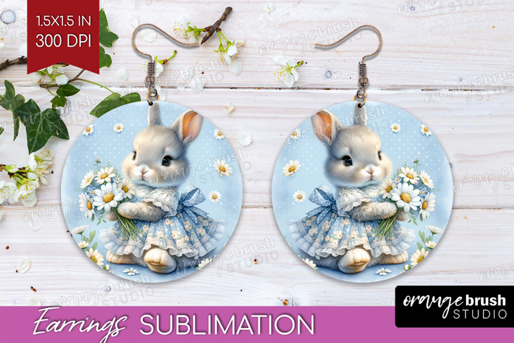 Rabbit Png Image 2