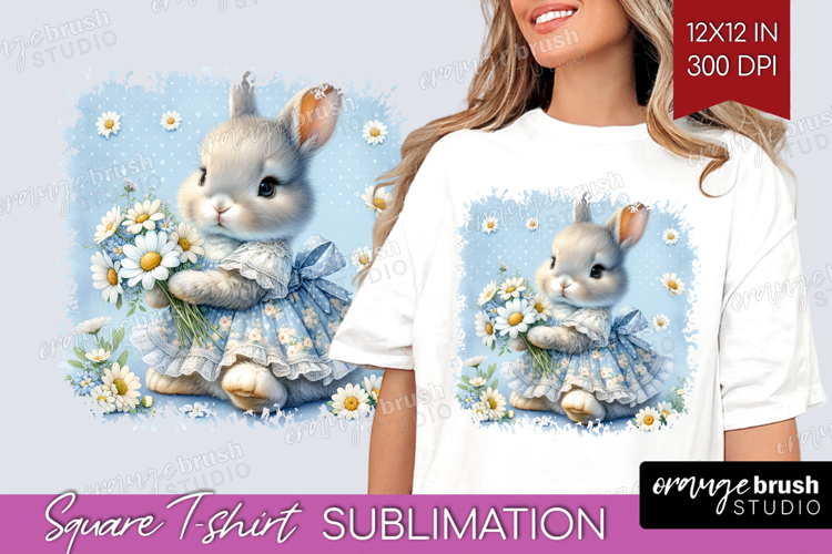 Vintage Bunny Square Tshirt Background - Cute Bunny PNG