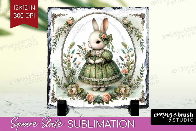 Rabbit Png Image 12