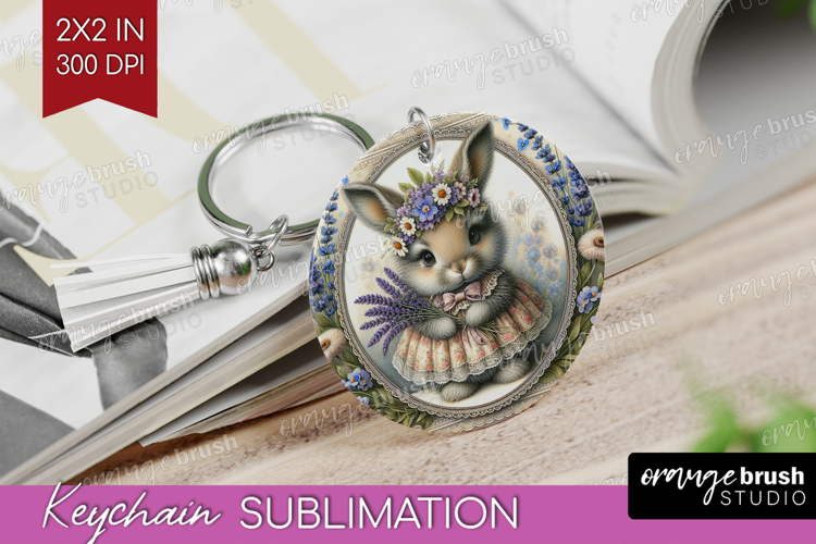 Rabbit Png Image 16