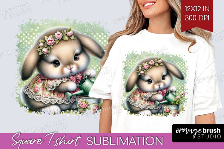 Rabbit Png Image 2