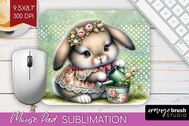 Rabbit Png Image 24