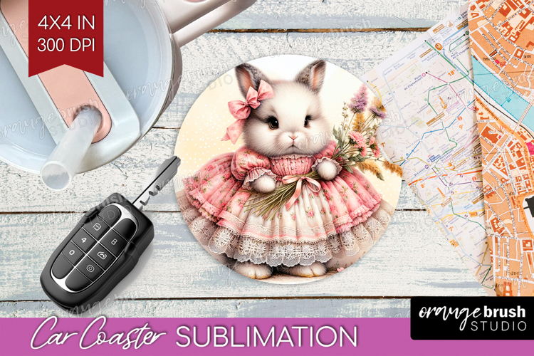 Rabbit Png Image 9