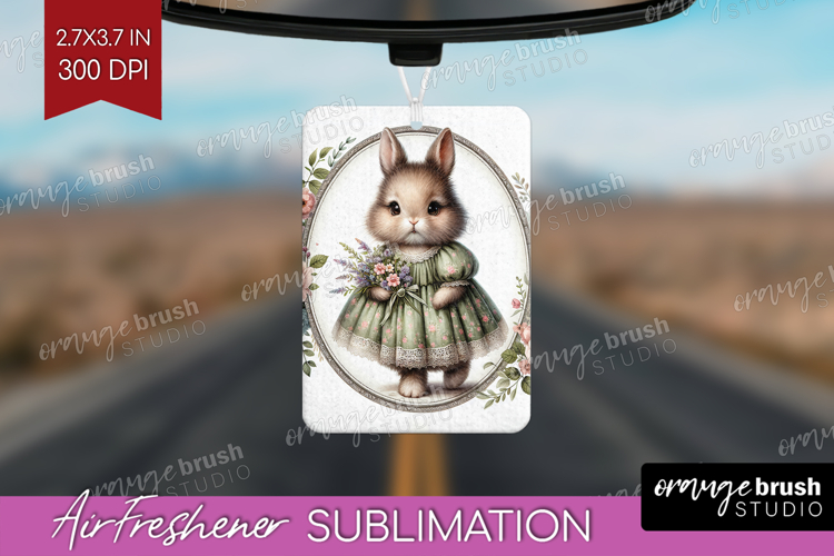 Rabbit Png Image 12