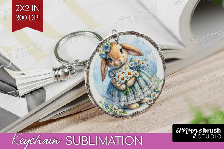Rabbit Png Image 10