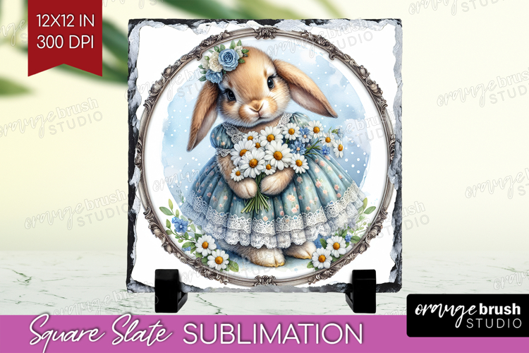 Rabbit Png Image 2