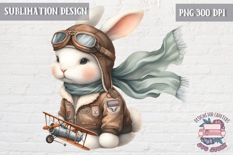 Pilot Resume Template Image 19