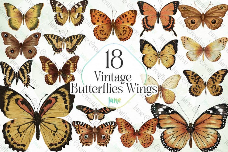 Vintage Butterflies Wings Sublimation