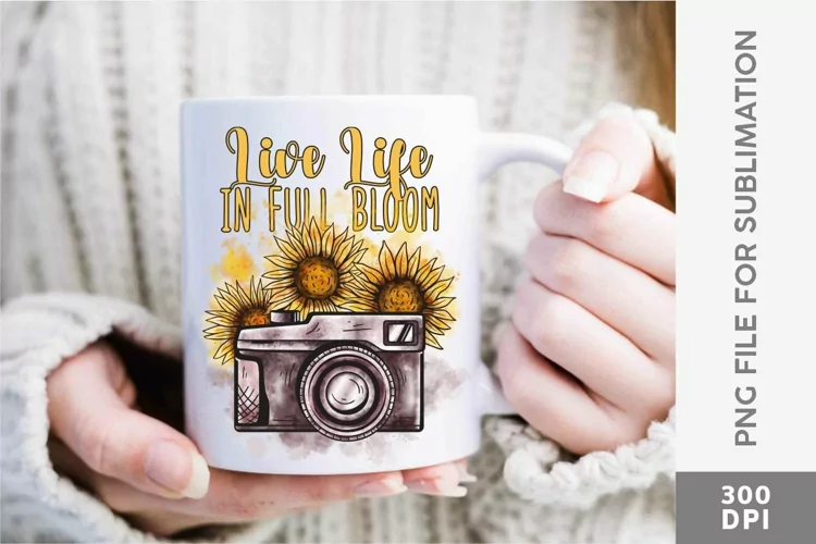 Vintage Camera with Sunflowers, Life Live in Full Bloom #1