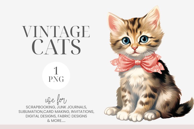 Kitten Clipart Image 23