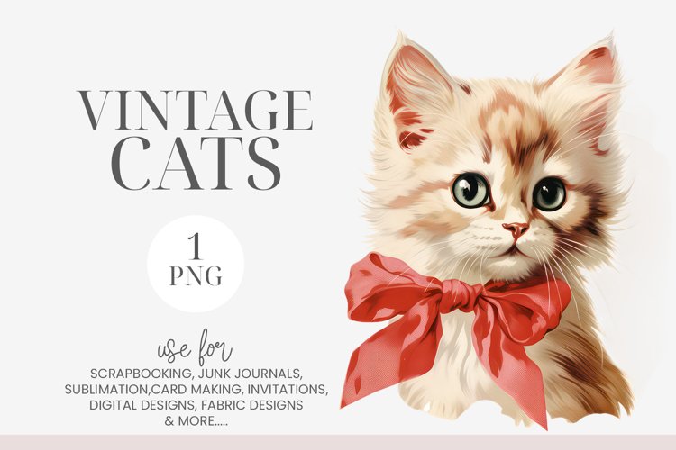 Kitten Clipart Image 12