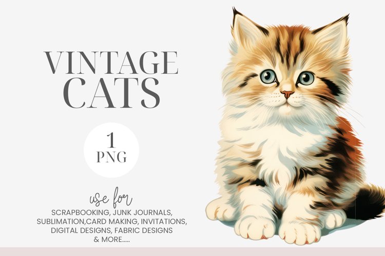 Fluffy Tabby Kitten Vintage Clipart PNG
