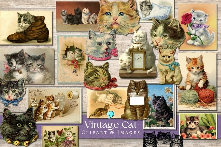 Vintage Cat Illustration Image 6