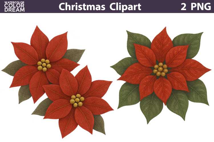 Vintage Christmas Clipart | Poinsettia Sublimation